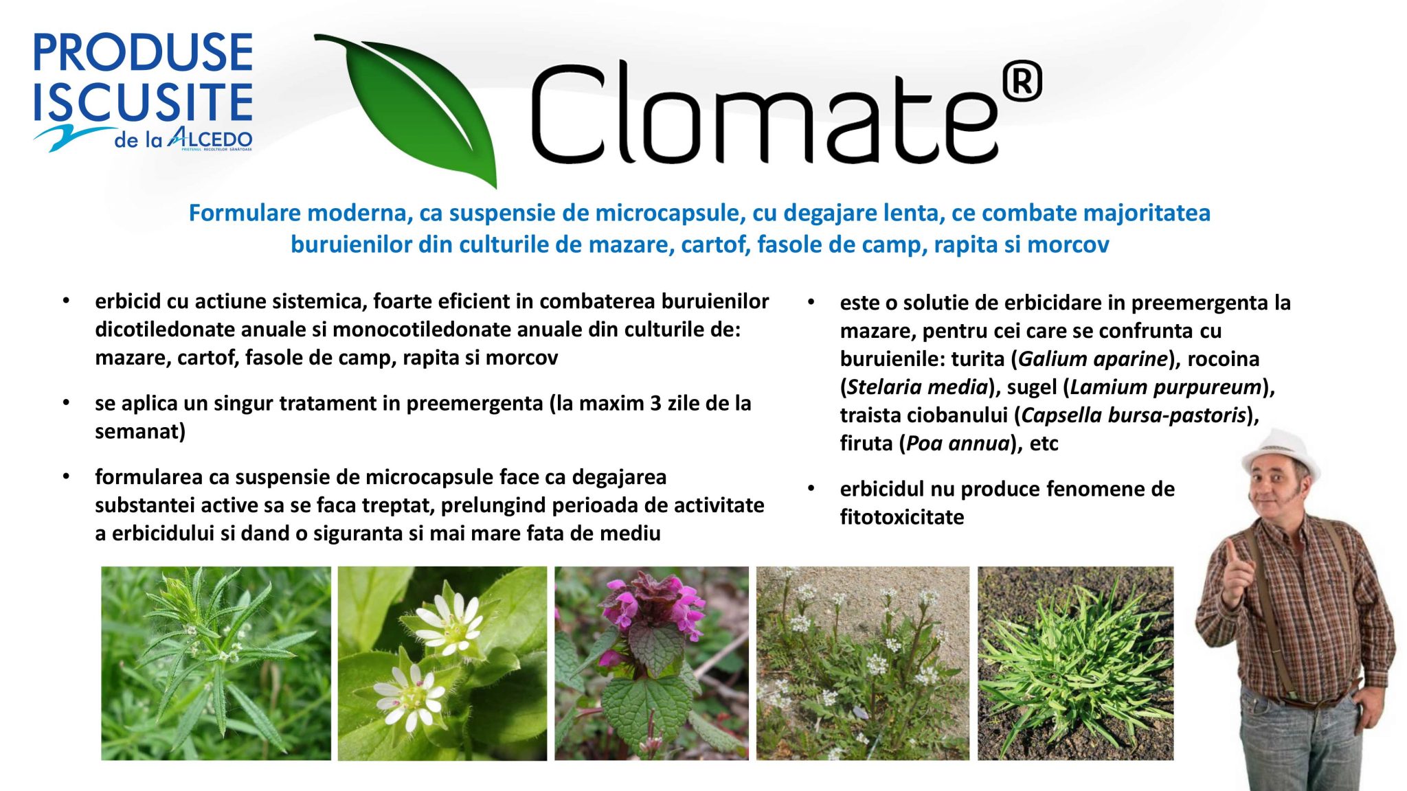 Clomate