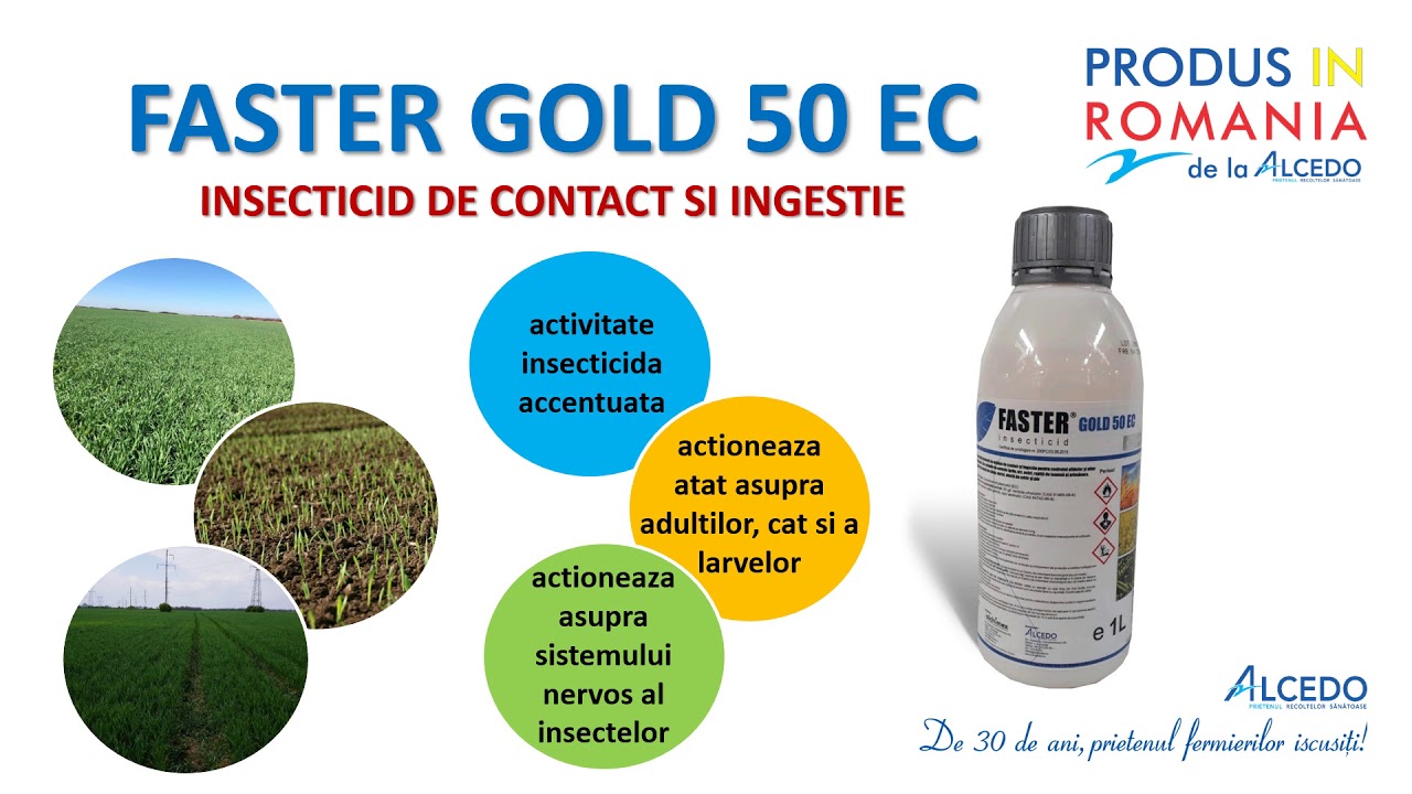 Faster Gold 50 EC – insecticid cu actiune rapida - ALCEDO